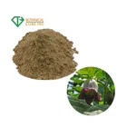 Natural herbal extract Belladonna extract hyoscyamine Powder