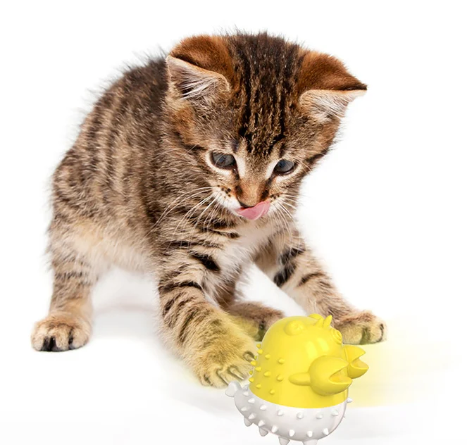 Electric cat toothbrush toy clean the tooth Crayfish type toys for cats new desgin, Picture showed
Electric cat toothbrush toy clean the tooth Crayfish type toys for cats new desgin, Picture showed