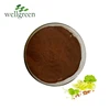Wellgreen Organic Grape Seed Extract 95%-98% OPC for Skin