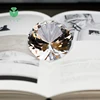 0.1-2.0 carat VVS/VS/SI clarity lab hpht cvd polish Loose diamonds gia buyer