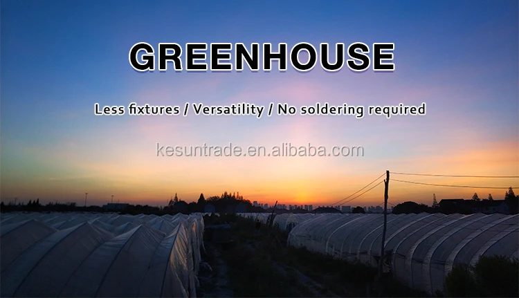 design custom agricultural greenhouses for various vegetables