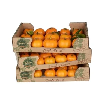 Custom size  orange and mango corrugated packing cartons