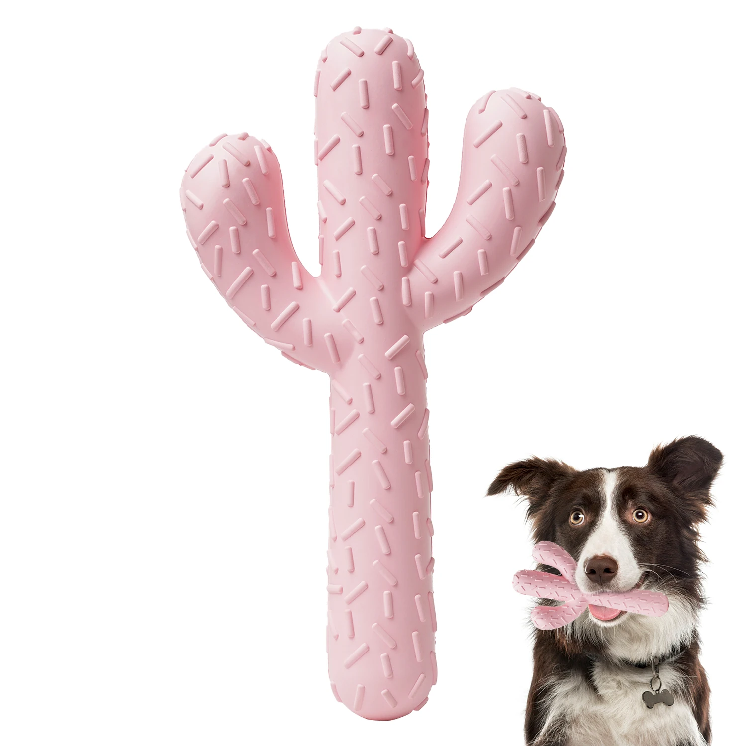Mewajump Funny Lightweight Best Play Silicone With Rope Food Grad Treat Good For Dental Dog Toys Chew
Mewajump Funny Lightweight Best Play Silicone With Rope Food Grad Treat Good For Dental Dog Toys Chew