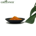 High Quality CAS 303-98-0 USP 98% Ubiquinone COENZYME Q10 Powder