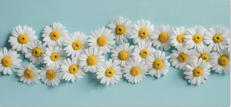 Apigenin Powder .jpg