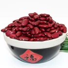 Hot selling high quality British Dark Red Kidney Bean