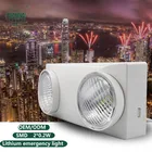 Philippines market remote control Automatic battery backup led rechargeable twin spot emergency light