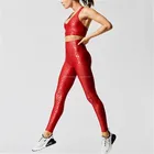 Bra Suit Fitness Bra OEM Factory Yoga Apparel Yoga Bra Custom Fitness Gym Clothes Yoga Pants Sport Suit