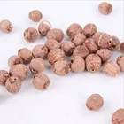 China Seeds China Factory Cheap Price Dried Red Lotus Seeds