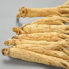 Root Ginseng Root Chinese Natural Changbaishan Wild Plant Dried White Ginseng Root