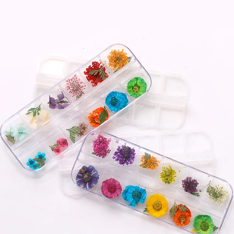 Natural Pressed Dry Flower Nail Decoration Mini Nail Art Natural Floral Leaf Stickers 3D Nail Art Designs Polish Mani, Colorful
Natural Pressed Dry Flower Nail Decoration Mini Nail Art Natural Floral Leaf Stickers 3D Nail Art Designs Polish Mani, Colorful