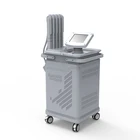 Best price Beauty Salon for Weight Losing slimming machine/Body contouring equipment medical Body shaping device