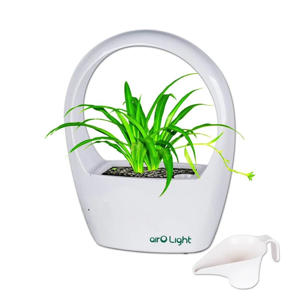 New indoor LED planter pot LED pots flower planter factory supply OEM pots, White,pink,purple,red or customized
New indoor LED planter pot LED pots flower planter factory supply OEM pots, White,pink,purple,red or customized