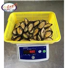 High quality boiled frozen iqf half shell mussels meat with competitive price