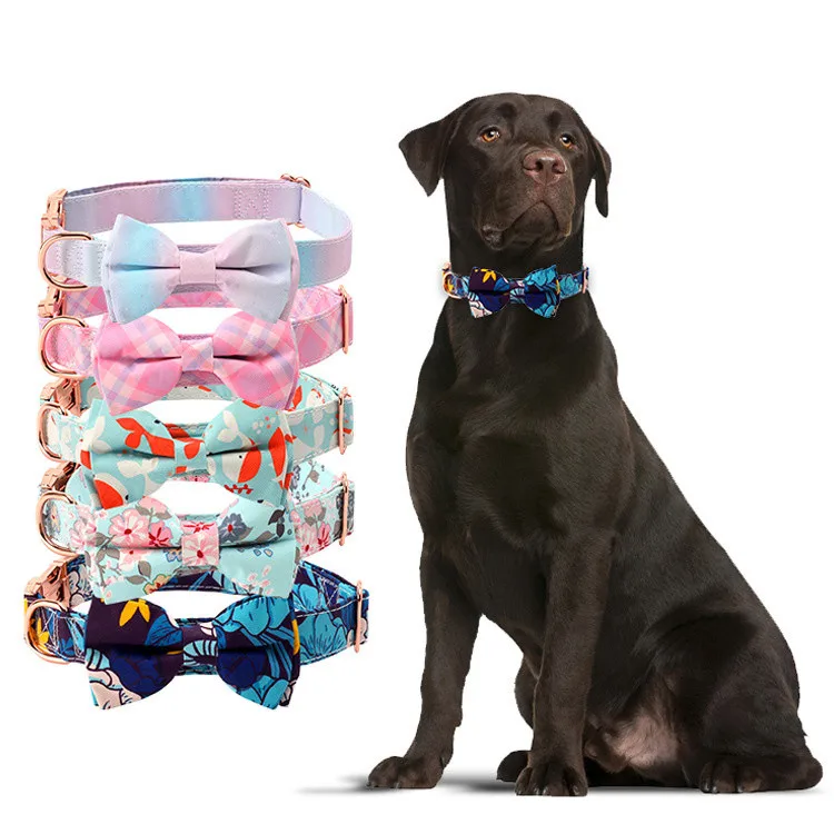 Rose gold pet dog metal buckle collar wholesale Cotton fabric name personalized dog collar and leash
Rose gold pet dog metal buckle collar wholesale Cotton fabric name personalized dog collar and leash