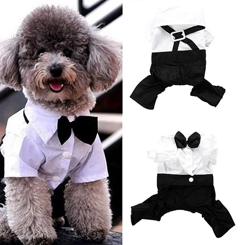 Hot Sale Pet Dog Cat Clothes Prince Tuxedo Bow Tie Suit Puppy Costume Jumpsuit Coat S-XXL Dog Clothes Suit for dogs
Hot Sale Pet Dog Cat Clothes Prince Tuxedo Bow Tie Suit Puppy Costume Jumpsuit Coat S-XXL Dog Clothes Suit for dogs
