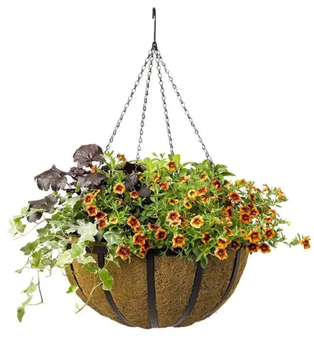 Black Color Metal Hanging Basket Round shape Support planting coconut hanging basket
Black Color Metal Hanging Basket Round shape Support planting coconut hanging basket