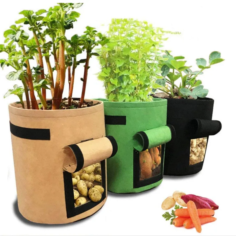 Breathable plant barrel felt large capacity vegetable growing bag potato growing bag strawberry plant bag potato bucket, Customized color
Breathable plant barrel felt large capacity vegetable growing bag potato growing bag strawberry plant bag potato bucket, Customized color