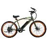 /product-detail/vintage-electric-bike-bicycle-ebike-with-350w-rear-motor-and-lcd-display-62251641923.html