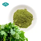 100% Natural Vegetable Powder Freeze Dried Coriander Powder