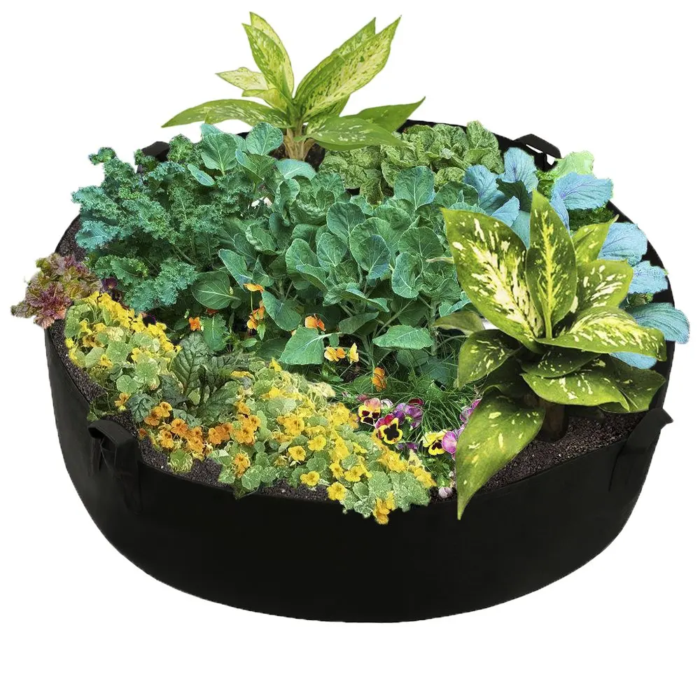 400 gallon Aeration Fabric Pots Garden Vegetable Growing Planter Grow Bag Large Vegetable Flower Grow Bags, Black
400 gallon Aeration Fabric Pots Garden Vegetable Growing Planter Grow Bag Large Vegetable Flower Grow Bags, Black