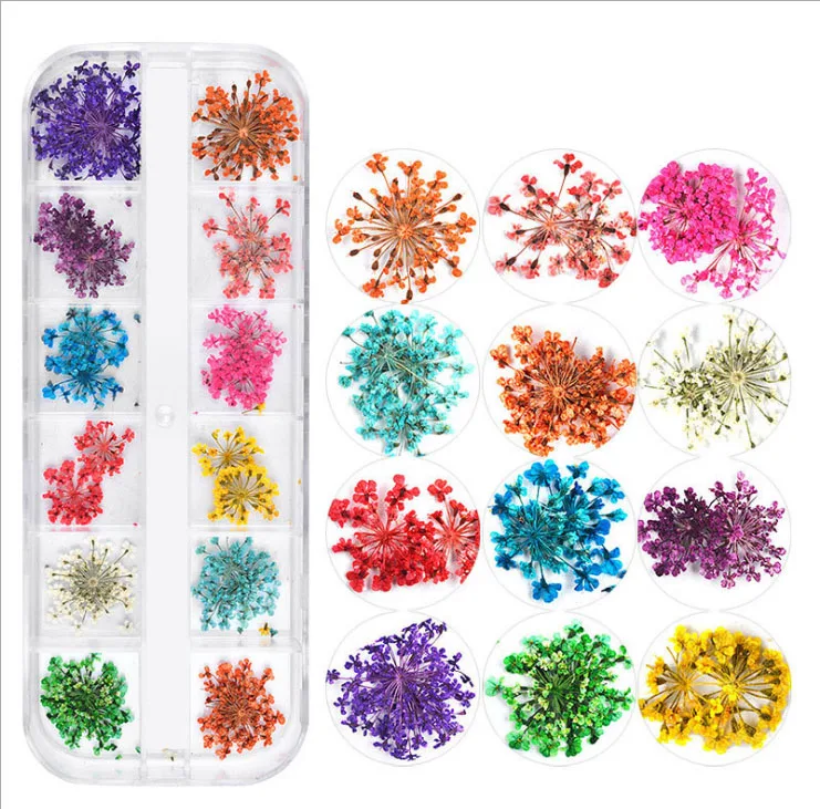 Amazon Hot Selling Natural Nail Art Dried Flower 3D Dry Gypsophila Roses For Nails, As image show
Amazon Hot Selling Natural Nail Art Dried Flower 3D Dry Gypsophila Roses For Nails, As image show