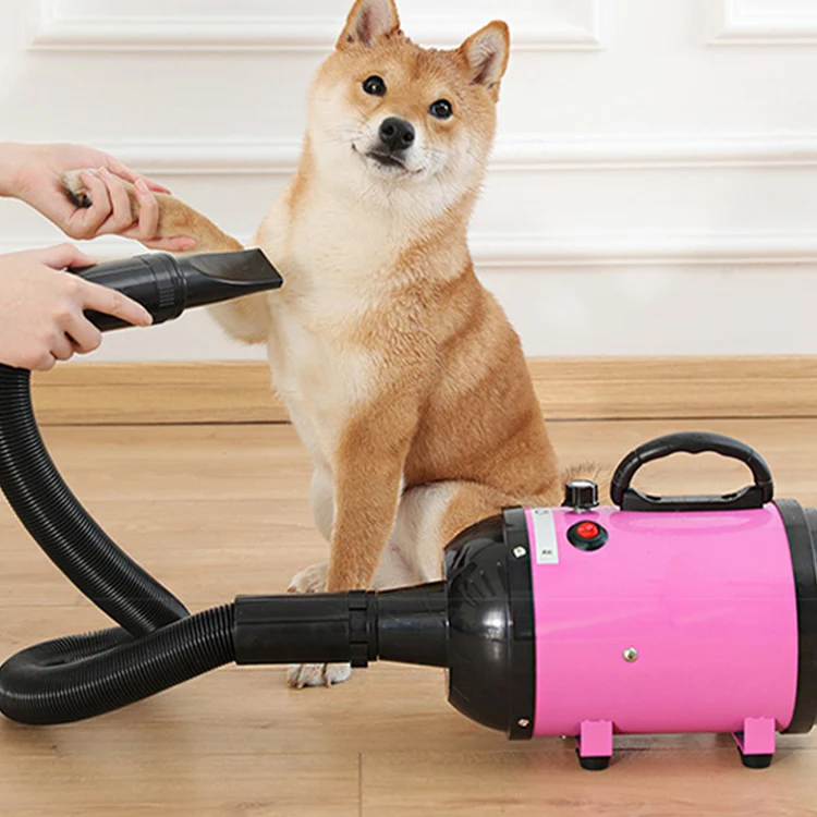 Hot sales three nozzles dog hair dryer popular adjustable wind speed pet hair dryer, Customized color
Hot sales three nozzles dog hair dryer popular adjustable wind speed pet hair dryer, Customized color