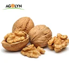 AGOLYN Top Grade Thin-skin Raw Walnuts with shell
