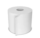 Manufacturer All Specifications Waterproof Glossy Printed Thermal Insulation Synthetic Paper in Roll
