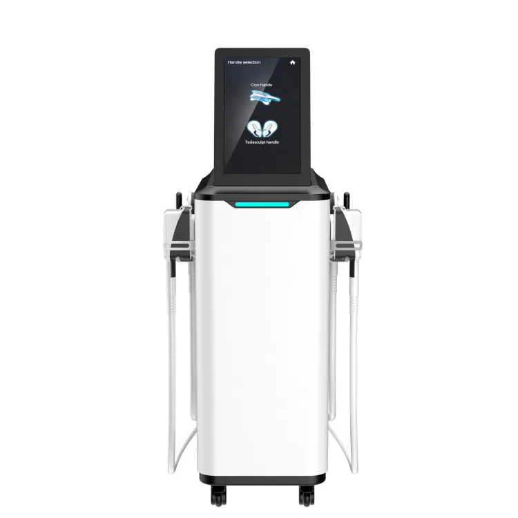 2022 NEWEST 2in1 Emslim Electromagnetic 360 Cryo Beauty Body Sculpting Machine Body Slimming Equipment for Salon
2022 NEWEST 2in1 Emslim Electromagnetic 360 Cryo Beauty Body Sculpting Machine Body Slimming Equipment for Salon