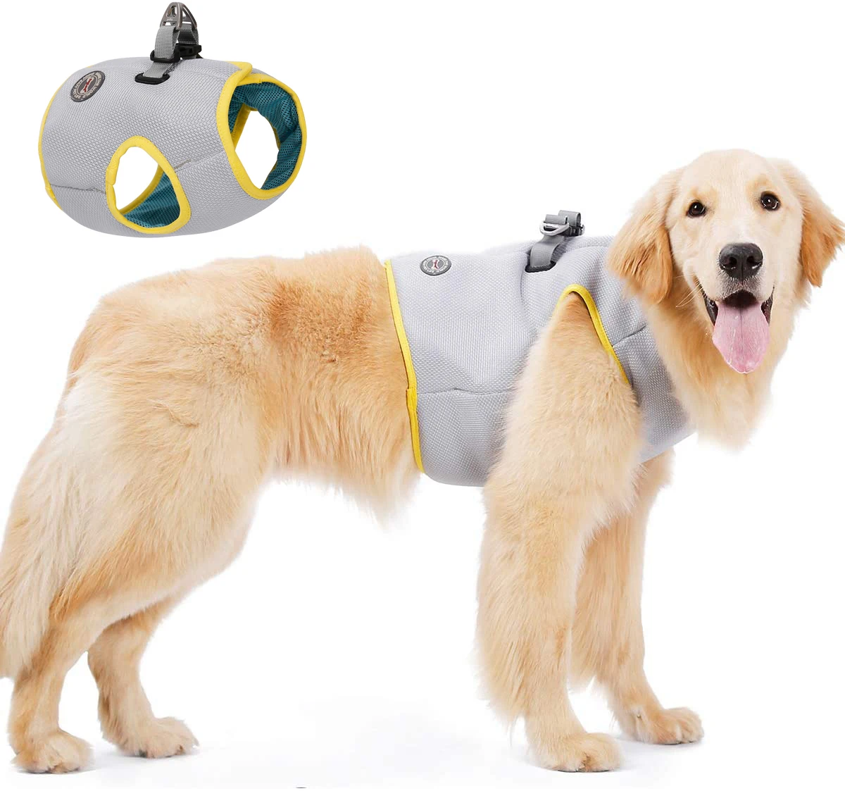 Dog Cooling Harness Pet Large Cooling Vest Breathable Harness Cooler Jacket Outdoor Training Walking
Dog Cooling Harness Pet Large Cooling Vest Breathable Harness Cooler Jacket Outdoor Training Walking