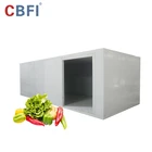 Manufacturers mini size custom potato storage equipment cold room