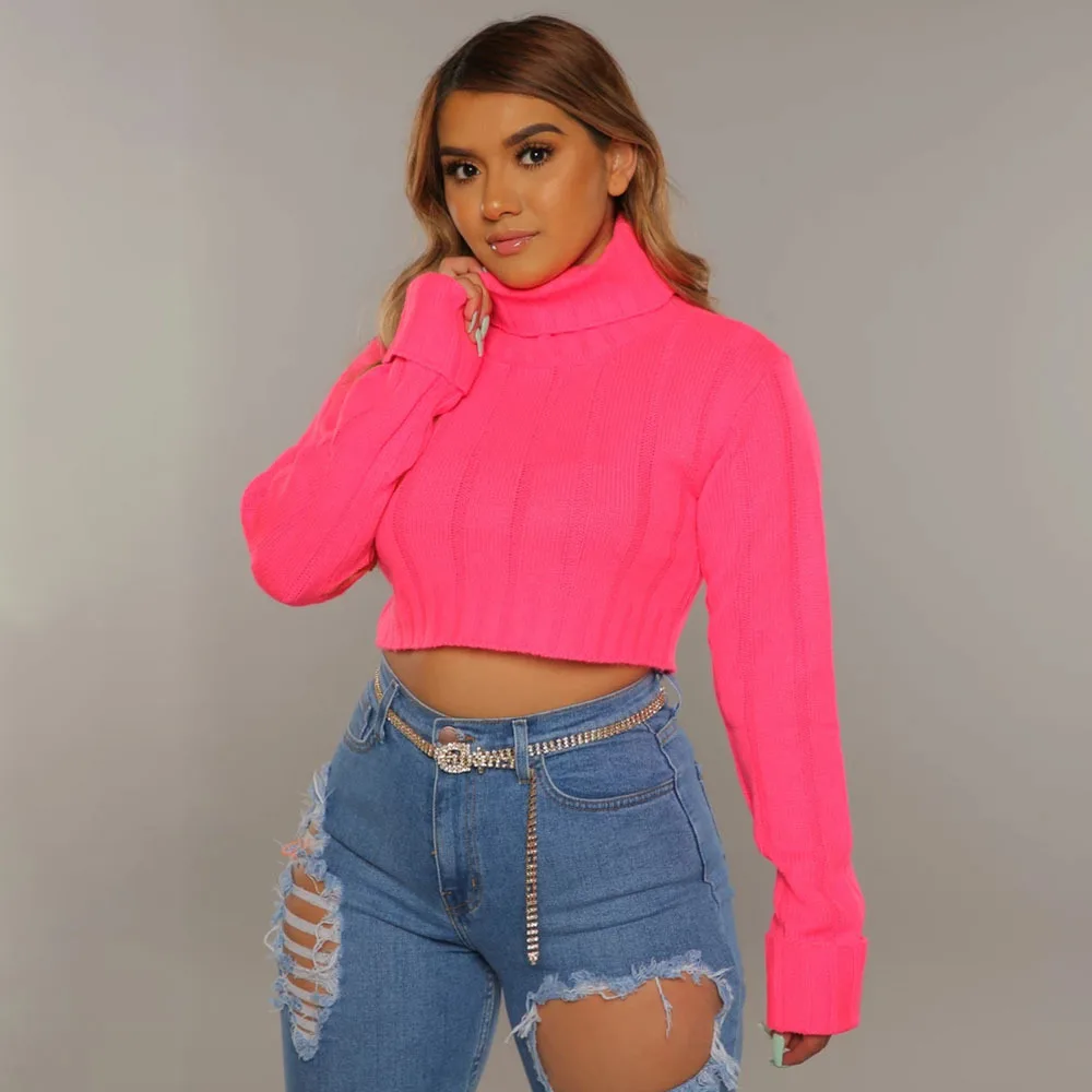 

Neon Twist Knitted Women Sweaters Long Sleeve Autumn Winter Turtleneck Pullovers Fashion Solid Basic Cropped Jumper New