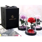 2019 Best Gift Idea Preserved Rose Little Prince Glass Dome Gift Set