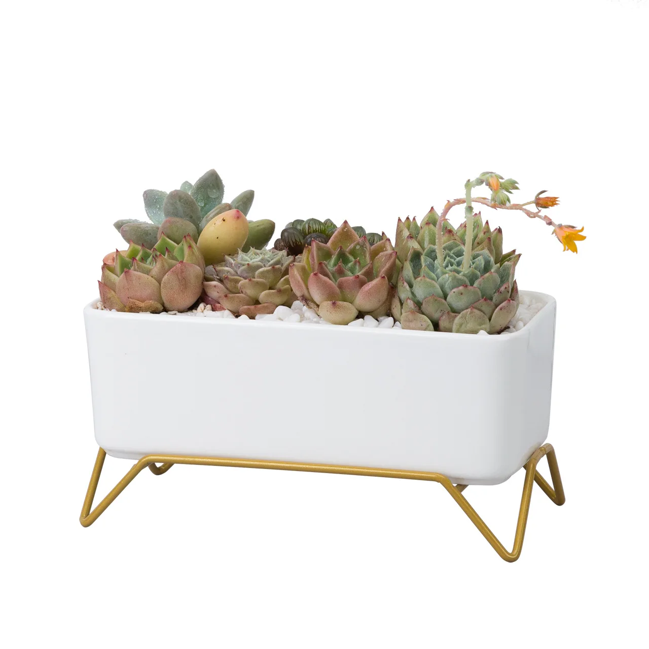 flower pot holder hanger garden hanging baskets nordic small ceramic mini ceramic groot flower pot stand metal, White
flower pot holder hanger garden hanging baskets nordic small ceramic mini ceramic groot flower pot stand metal, White