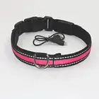 Kingtale adjustable buckle led light reflctive strip for dog collars with USB rechargeable