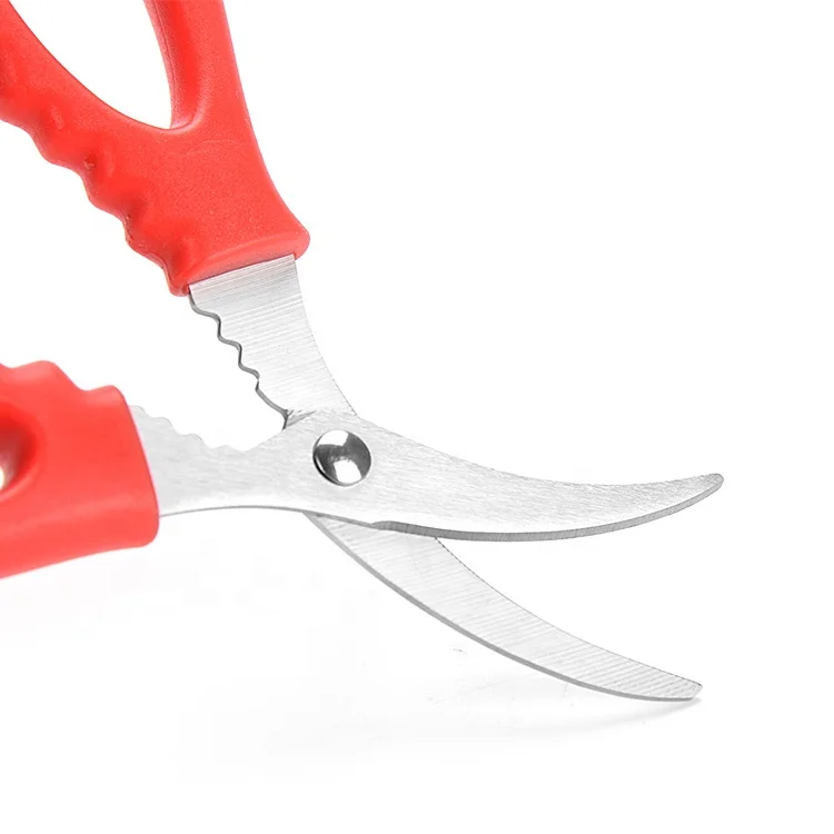 Custom New Design 440C Curved Craft Stainless Steel Vegetable Seafood Kitchen Shears Scissors