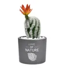 2020 Hot Selling Pinrui New Home Decoration Ceramic pot Cactus Artificial Succulent Plants