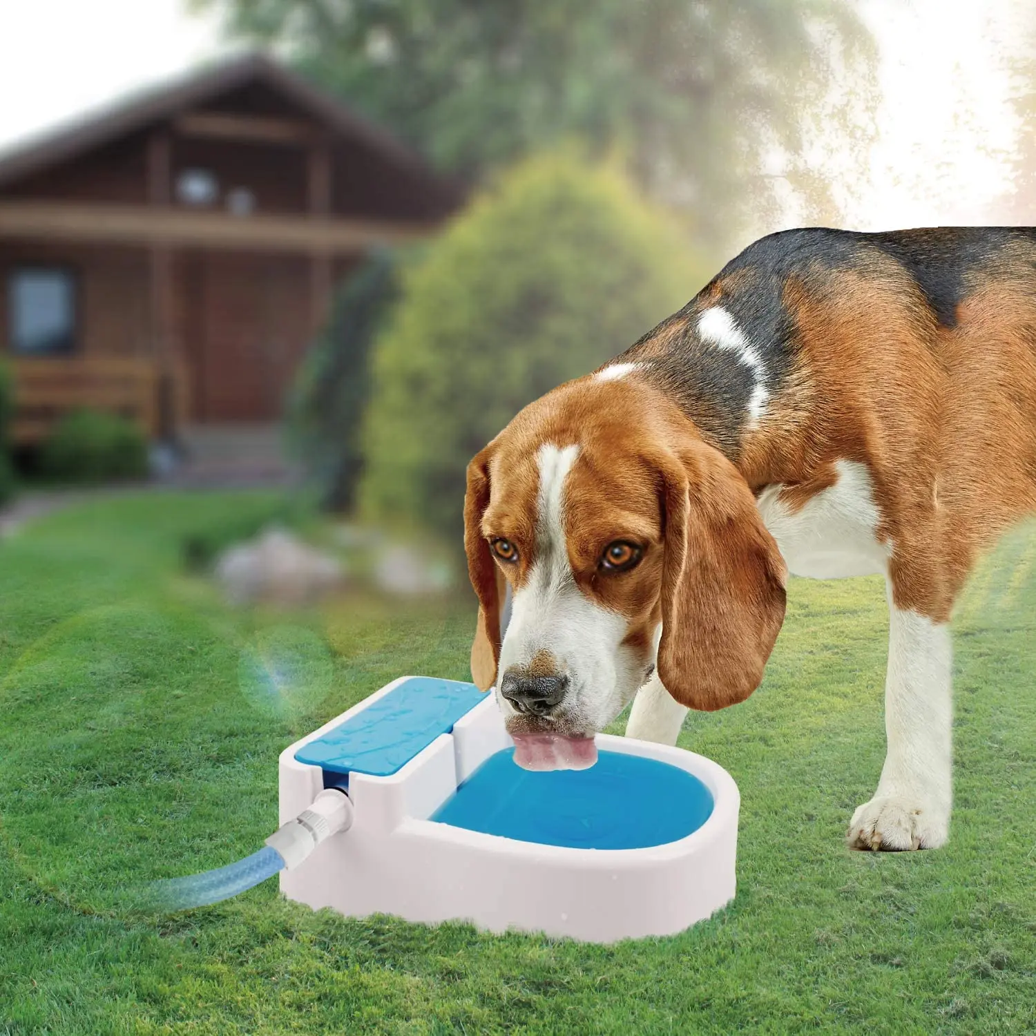 ALL-FOR-PAWS Automatic Auto Garden Outdoor Pet Drinking Fountain Dog Water Dispenser Dog Cat Water Feeder Pet Fountain, White+blue
ALL-FOR-PAWS Automatic Auto Garden Outdoor Pet Drinking Fountain Dog Water Dispenser Dog Cat Water Feeder Pet Fountain, White+blue