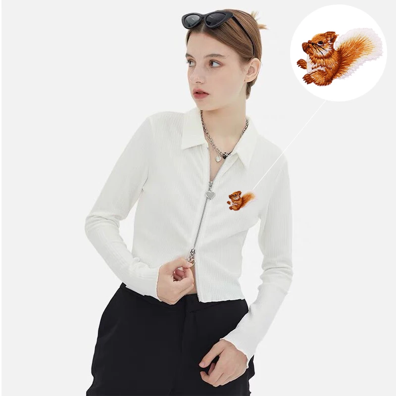 Other Clothes Accessories garment accessory Cartoon animal squirrel designer embroidered logos and iron on embroidery patches, Custom color
Other Clothes Accessories garment accessory Cartoon animal squirrel designer embroidered logos and iron on embroidery patches, Custom color