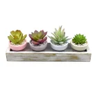 Artificial Succulent Plants Set With Paper Pots In Wooden Tray Succulents For Home Decor