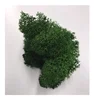 /product-detail/decoration-flower-wholesale-dried-reindee-natural-preserved-moss-62406458439.html