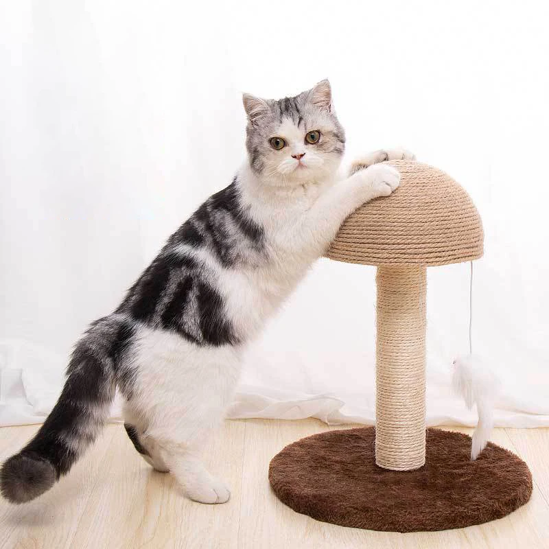 Cat Scratching Post Wholesale Customized Good Quality Cat Climbing Toy House Cat Scratching Post Mini Mushroom
Cat Scratching Post Wholesale Customized Good Quality Cat Climbing Toy House Cat Scratching Post Mini Mushroom