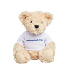 High Quality Customized Teddy Bear In Bulk Baby Teddy Bear Toy With Clothes