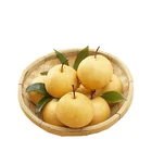 Ya Pear Pear Fresh Ya Pear From China