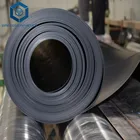 Fish Farm Pond Liner Swimming Pool High Density HDPE Geomembrane