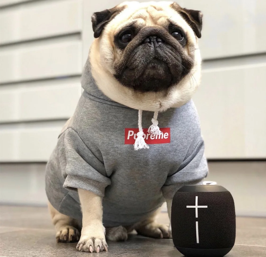 Wholesale Fashion Cotton Dog Winter Coat Pupreme Puppy Pet Dog Hoodie Dog Clothes, Grey
Wholesale Fashion Cotton Dog Winter Coat Pupreme Puppy Pet Dog Hoodie Dog Clothes, Grey