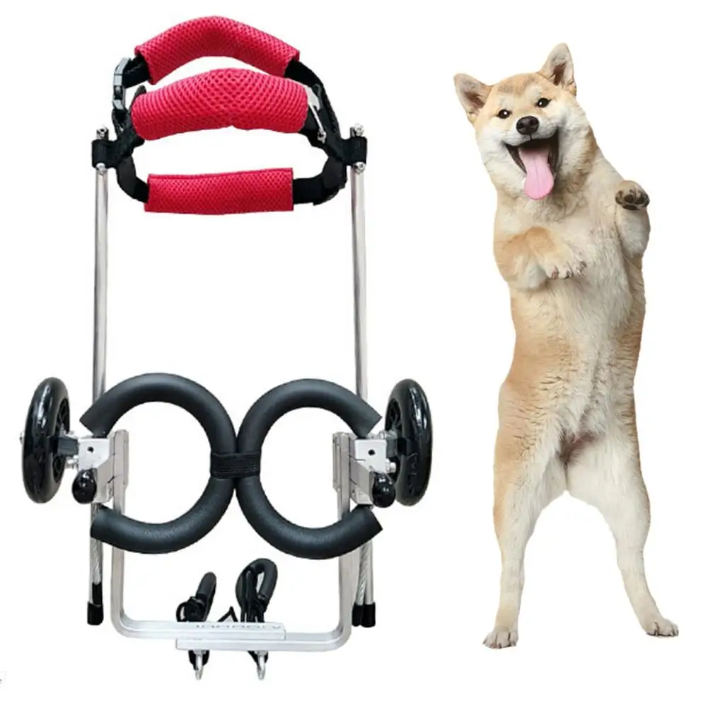 Pet Wheelchair Hind Legs Auxiliary /General Paralysis Dog Scooter Pet Wheelchair / Disabled Dog Rehabilitation Wheelchchair
Pet Wheelchair Hind Legs Auxiliary /General Paralysis Dog Scooter Pet Wheelchair / Disabled Dog Rehabilitation Wheelchchair