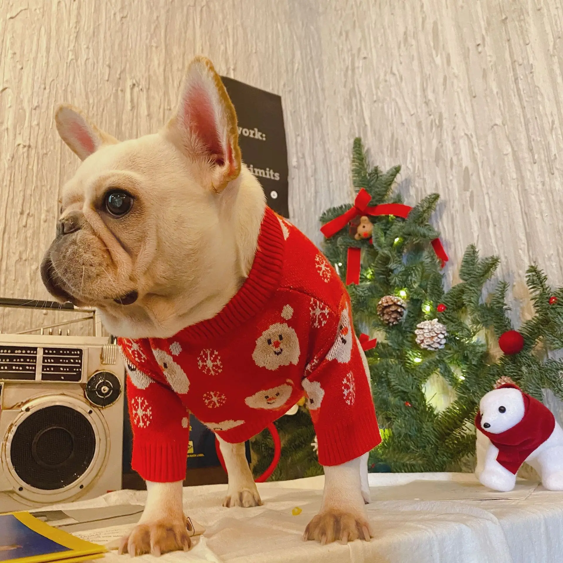 Free Shipping US UK Factory Price Clothes for Dog Costume Christmas Pet Dog Clothes Winter Hoodie Coat Pet clothing/dress Pet
Free Shipping US UK Factory Price Clothes for Dog Costume Christmas Pet Dog Clothes Winter Hoodie Coat Pet clothing/dress Pet