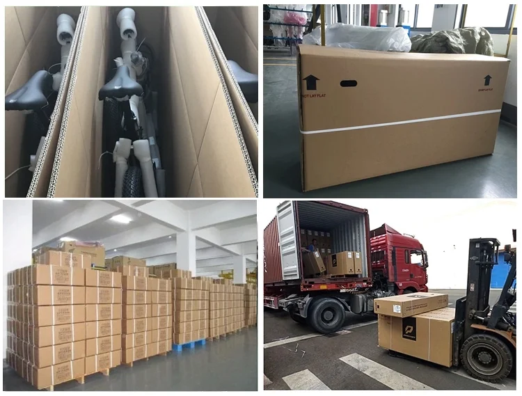 Customizable Electric Long Range Maximum 100KM Mountain Bike with LCD Display 100-240V Smart E-bicycle BEBFR26DM